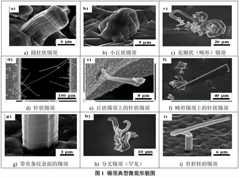 锡膏焊接后锡须.jpg