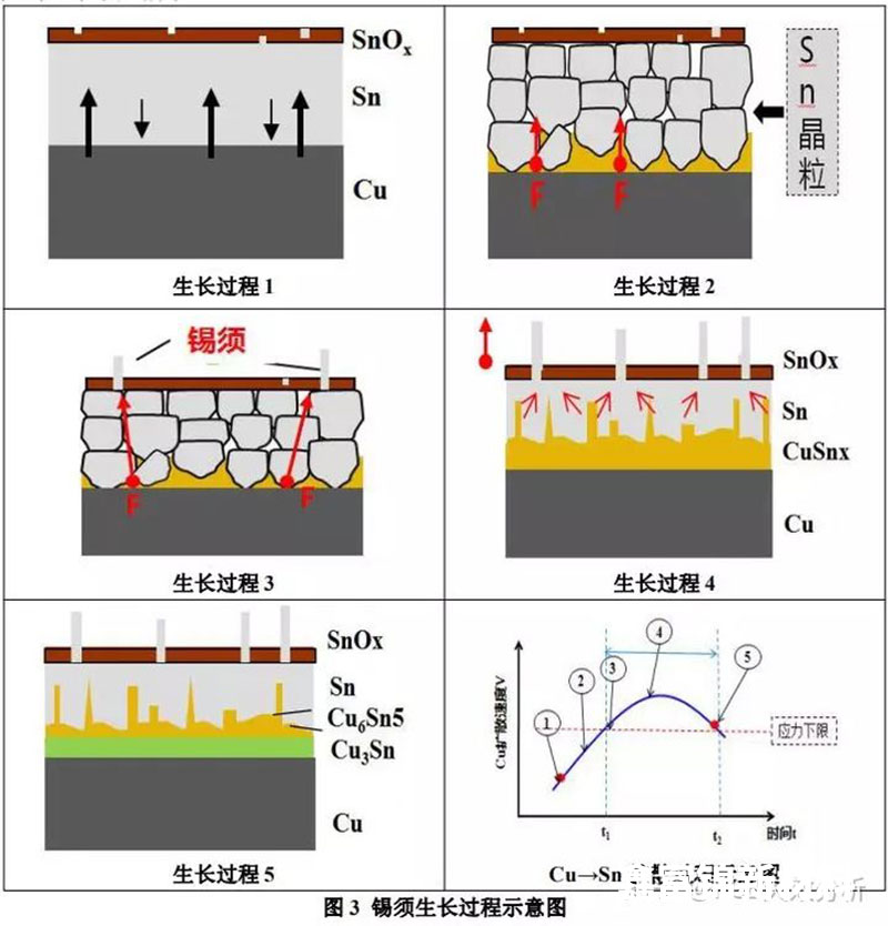 锡须生长过程.jpg